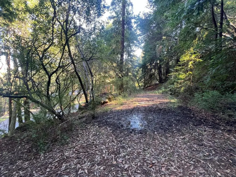 559 Patrol Road Woodside, CA 94062