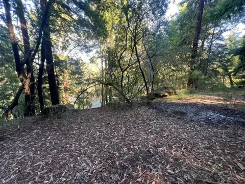 559 Patrol Road