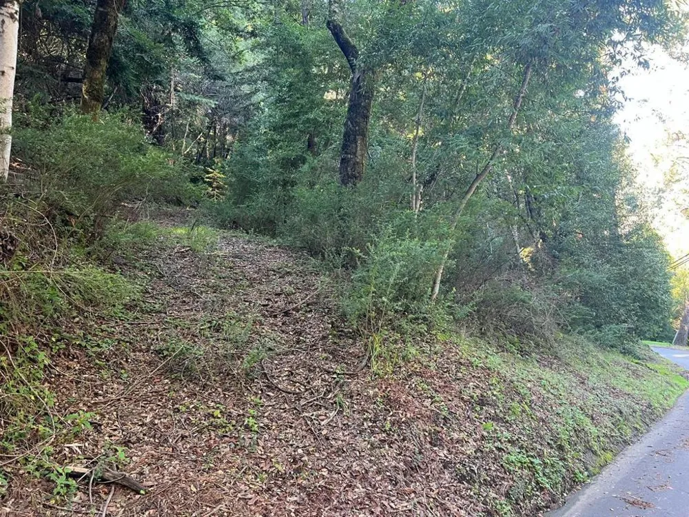 559 Patrol Road Woodside, CA 94062