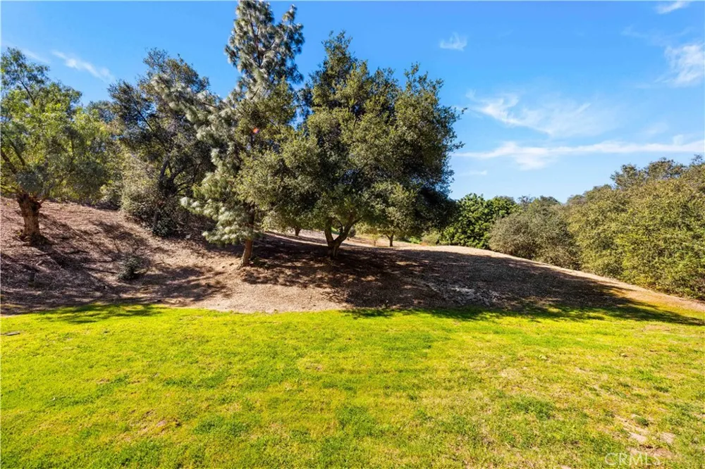 15930 Esquilime Chino Hills, CA 91709