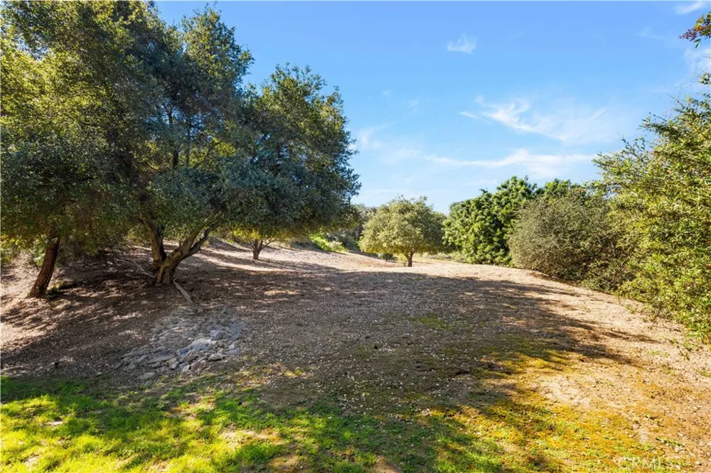 15930 Esquilime Chino Hills, CA 91709