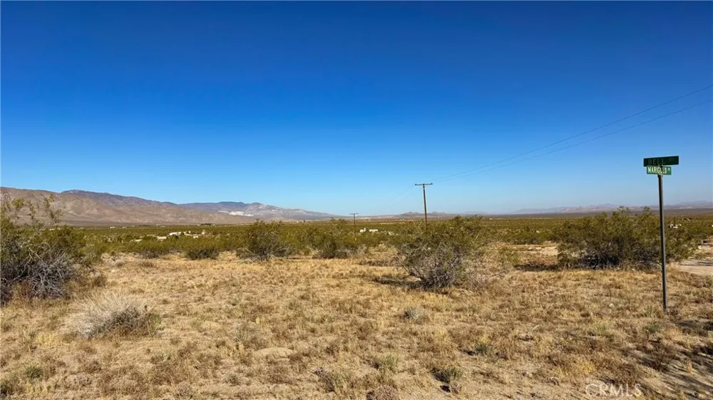 702 Bell Road Johnson Valley, CA 92285