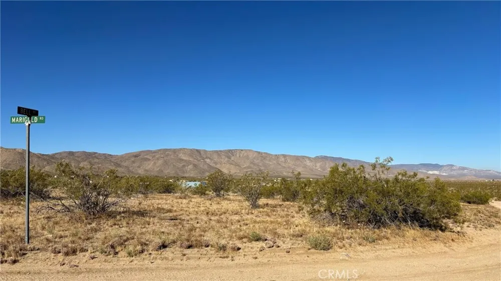 702 Bell Road Johnson Valley, CA 92285