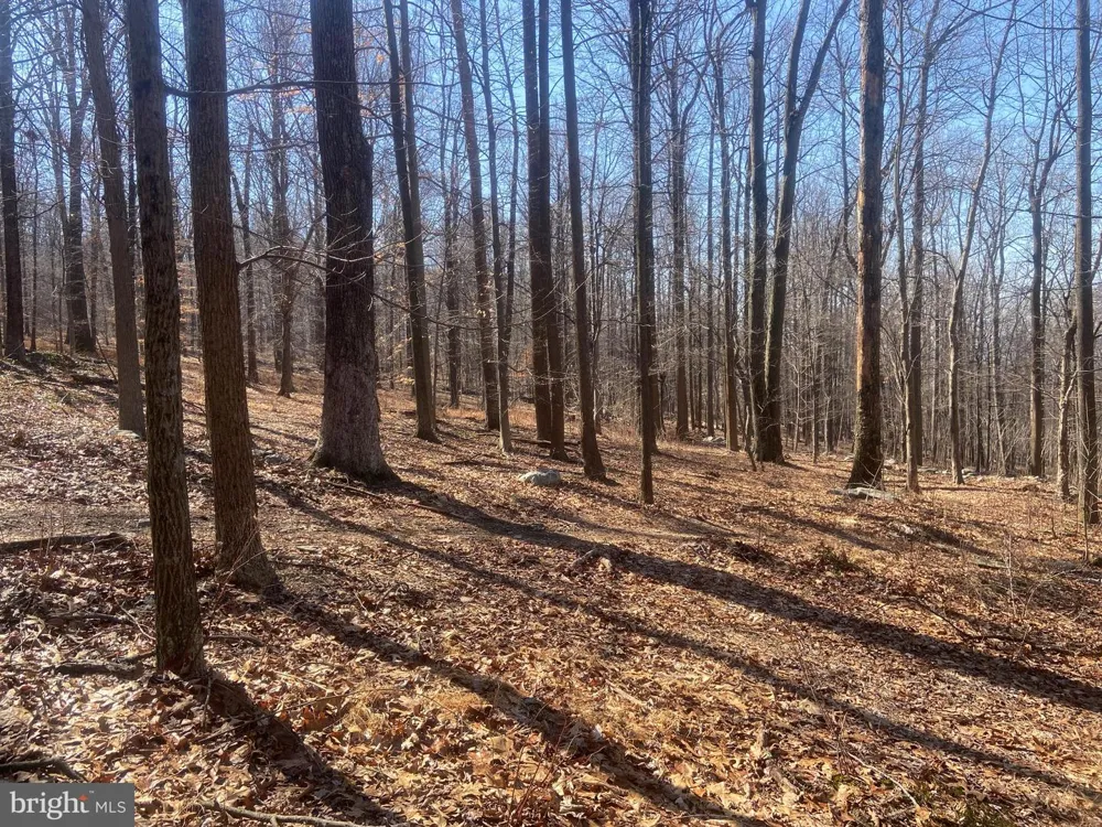 8939 HAWBOTTOM ROAD Middletown, MD 21769