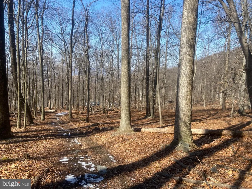 8939 HAWBOTTOM ROAD Middletown, MD 21769