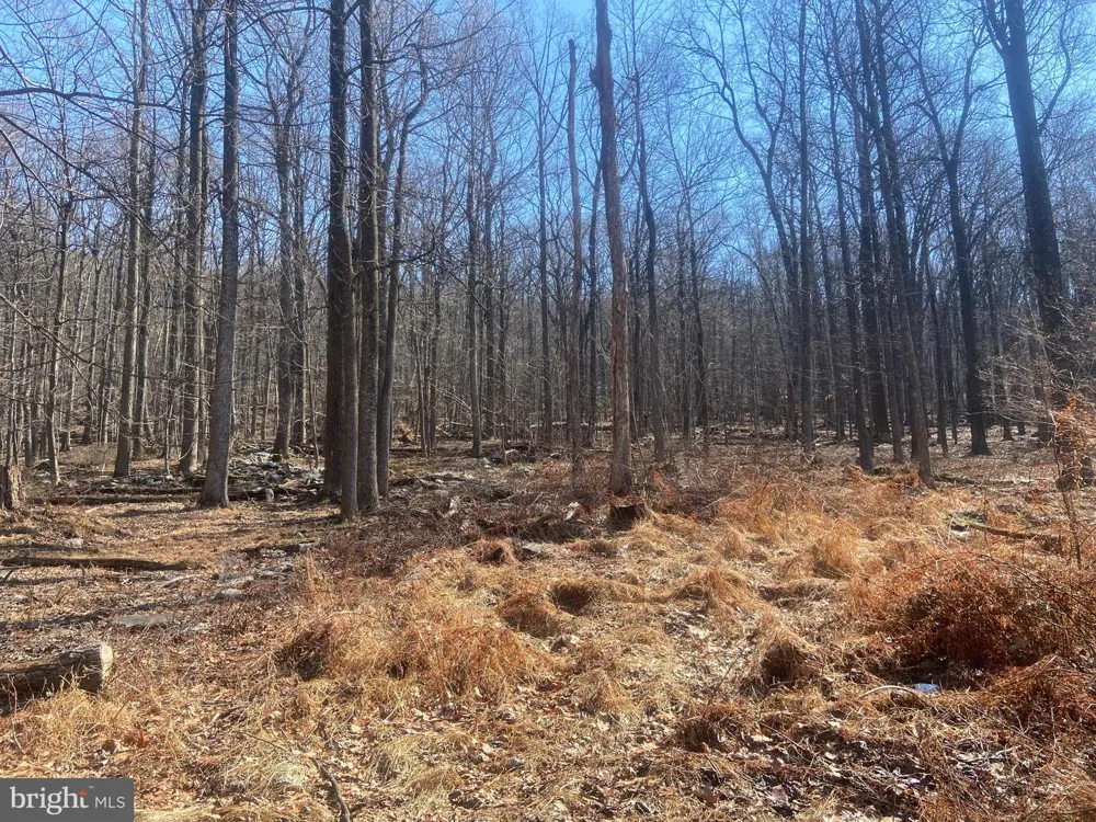 8939 HAWBOTTOM ROAD Middletown, MD 21769