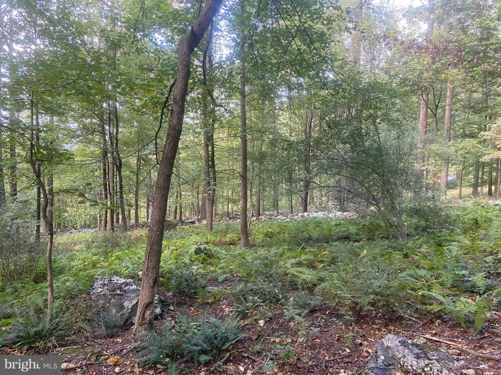 8939 HAWBOTTOM ROAD Middletown, MD 21769