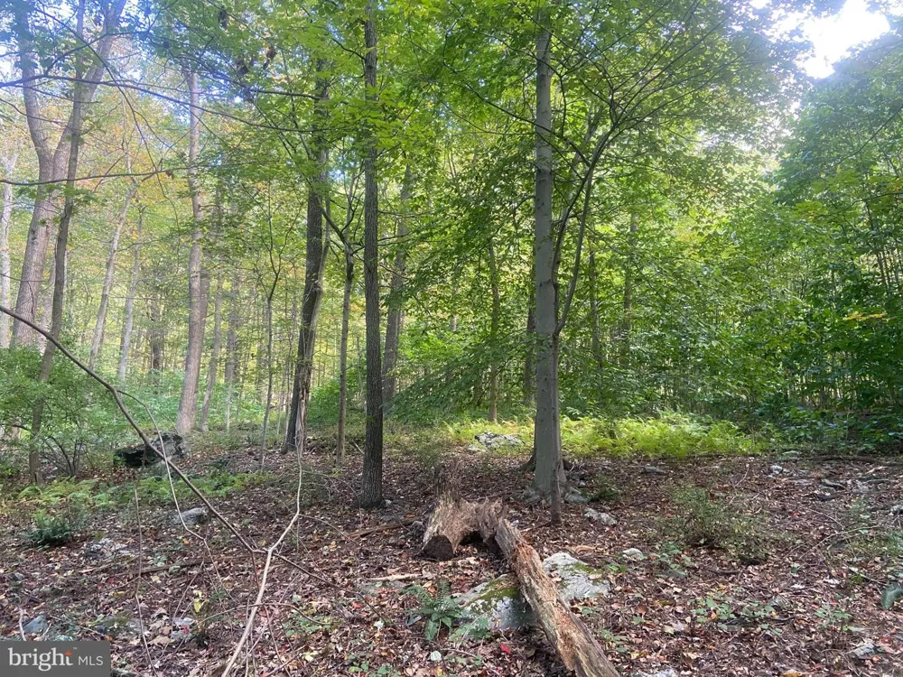8939 HAWBOTTOM ROAD Middletown, MD 21769