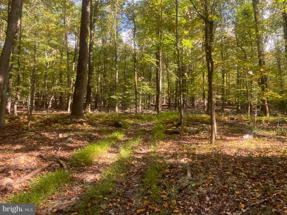 8939 HAWBOTTOM ROAD Middletown, MD 21769