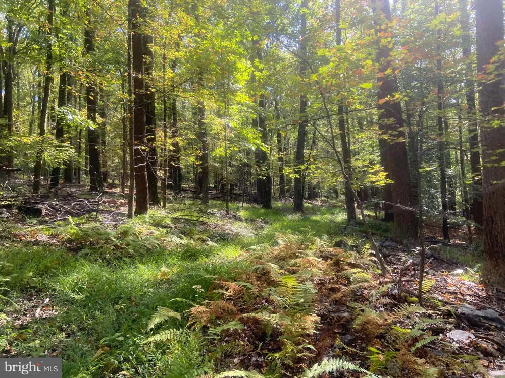 8939 HAWBOTTOM ROAD Middletown, MD 21769