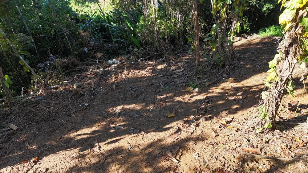 186 CAMINO LOS REYES Canovanas, PR 00729