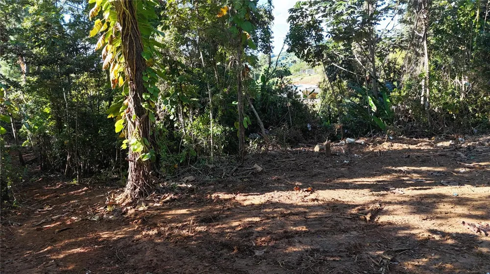 186 CAMINO LOS REYES Canovanas, PR 00729