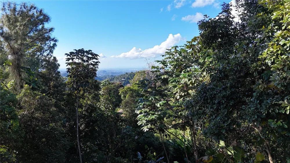 186 CAMINO LOS REYES Canovanas, PR 00729