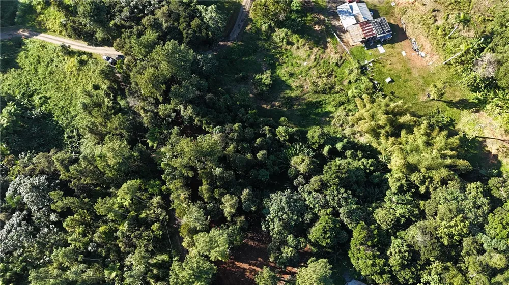 186 CAMINO LOS REYES Canovanas, PR 00729