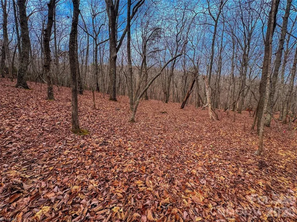 750 Palisade Trail Denton, NC 27239