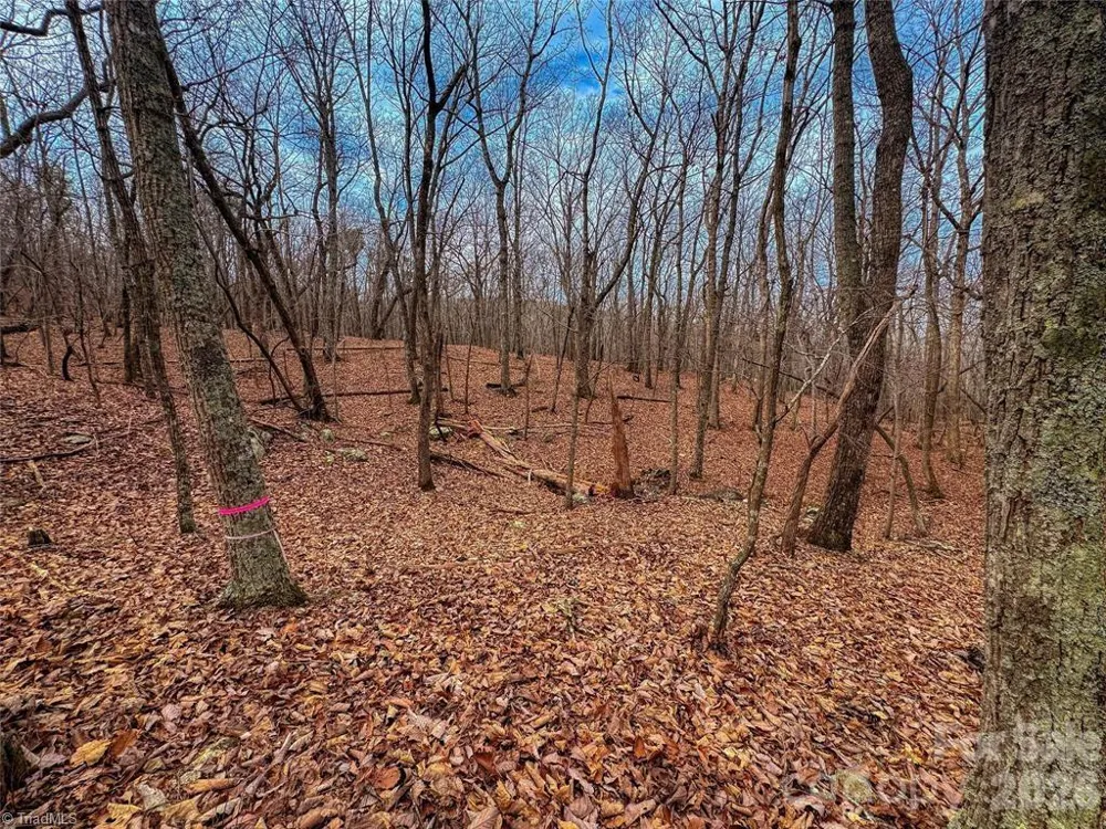 750 Palisade Trail Denton, NC 27239