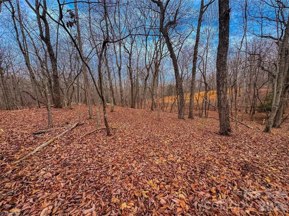 750 Palisade Trail Denton, NC 27239