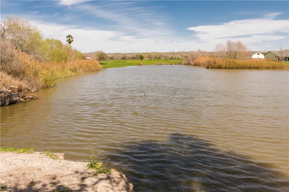 VALLEY VIEW DRIVE Sandia, TX 78383