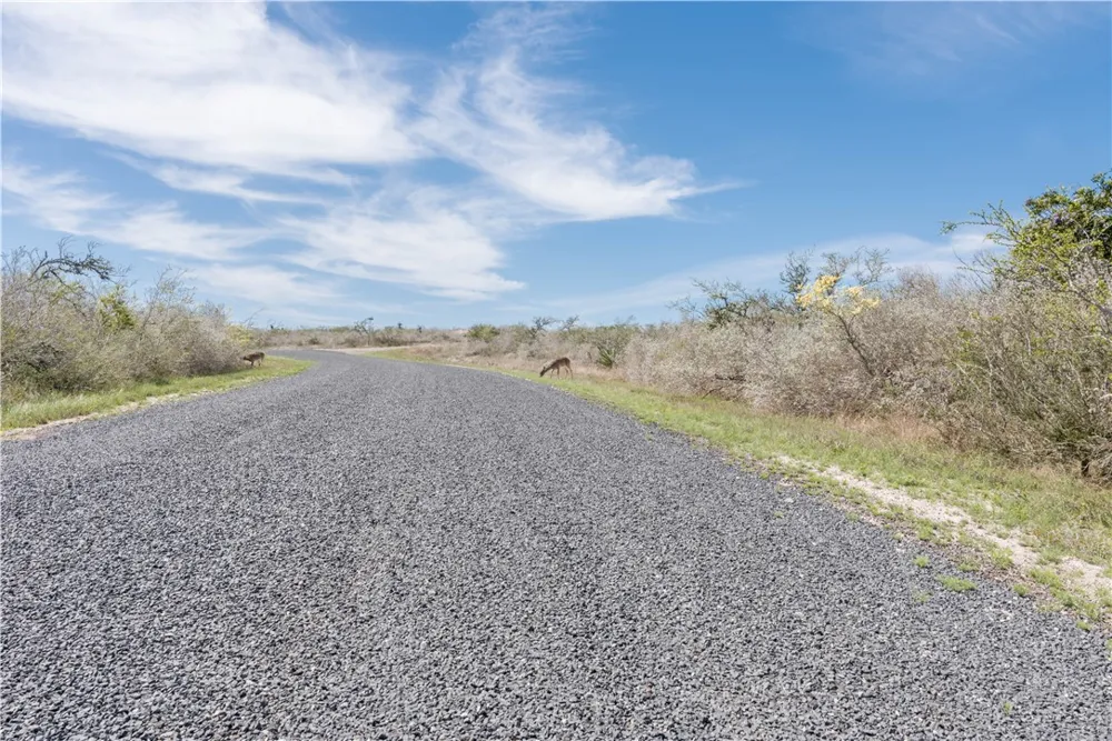 VALLEY VIEW DRIVE Sandia, TX 78383