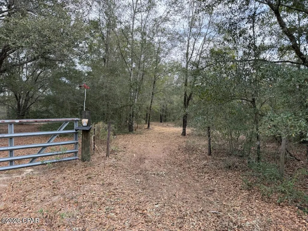 Pasofino Lane Alford, FL 32420