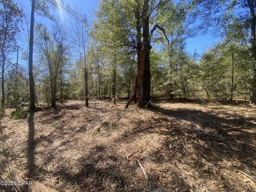 Pasofino Lane Alford, FL 32420