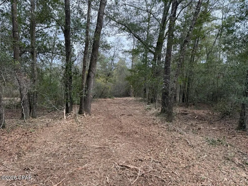 Pasofino Lane Alford, FL 32420