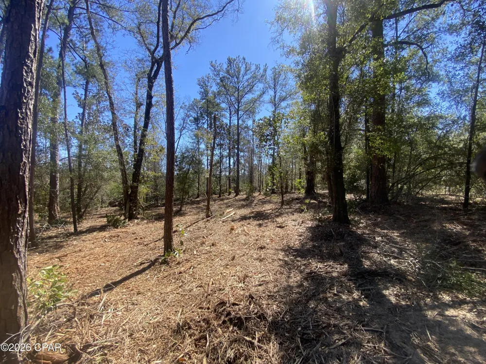 Pasofino Lane Alford, FL 32420
