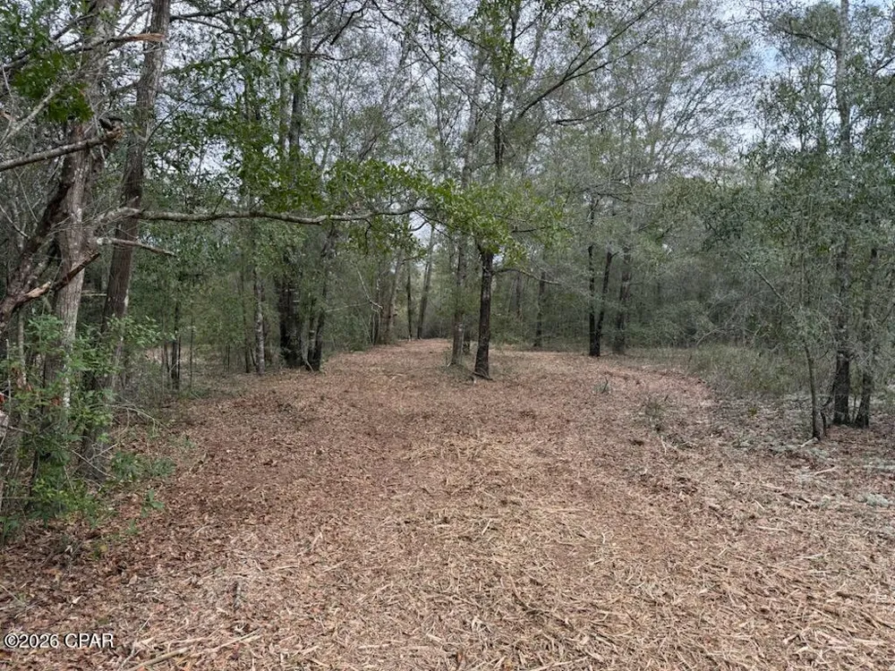 Pasofino Lane Alford, FL 32420