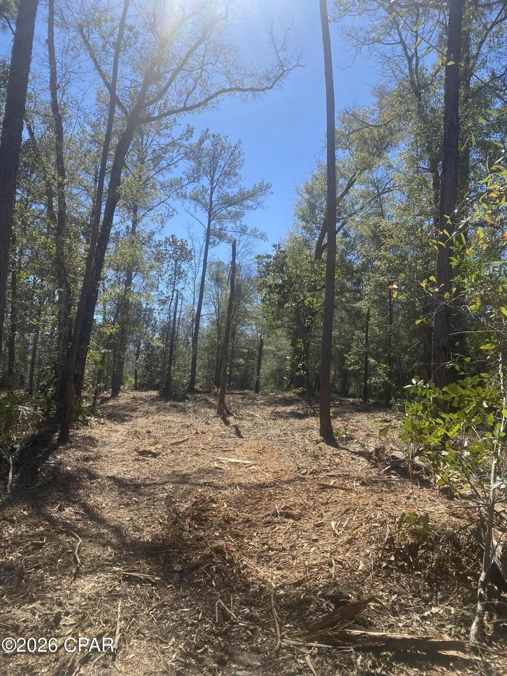 Pasofino Lane Alford, FL 32420