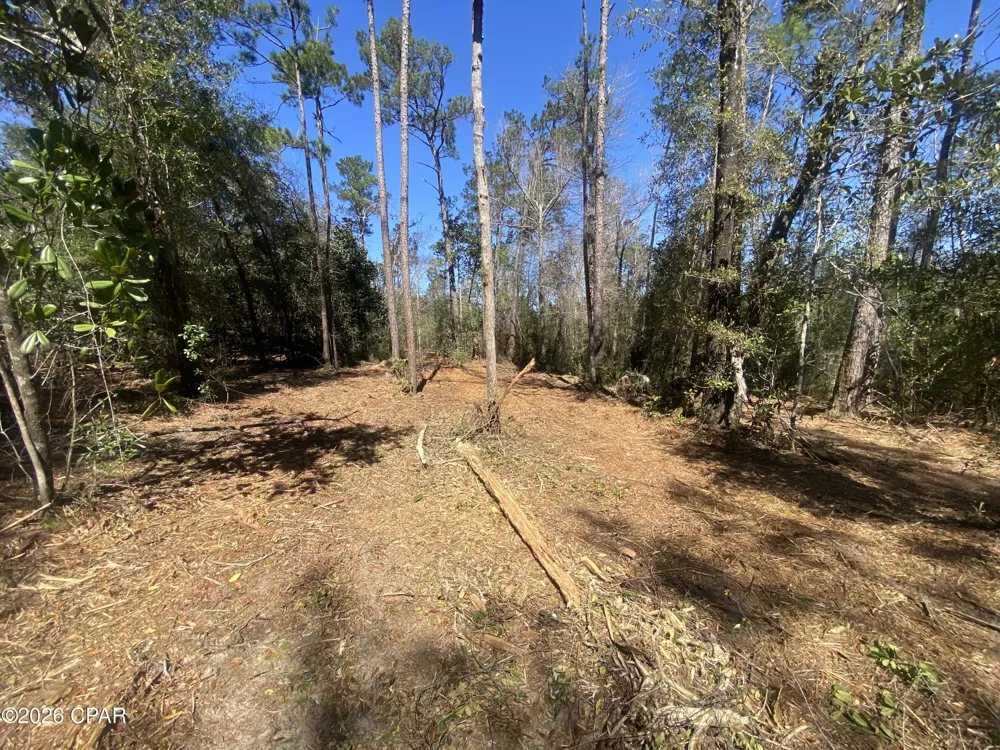 Pasofino Lane Alford, FL 32420