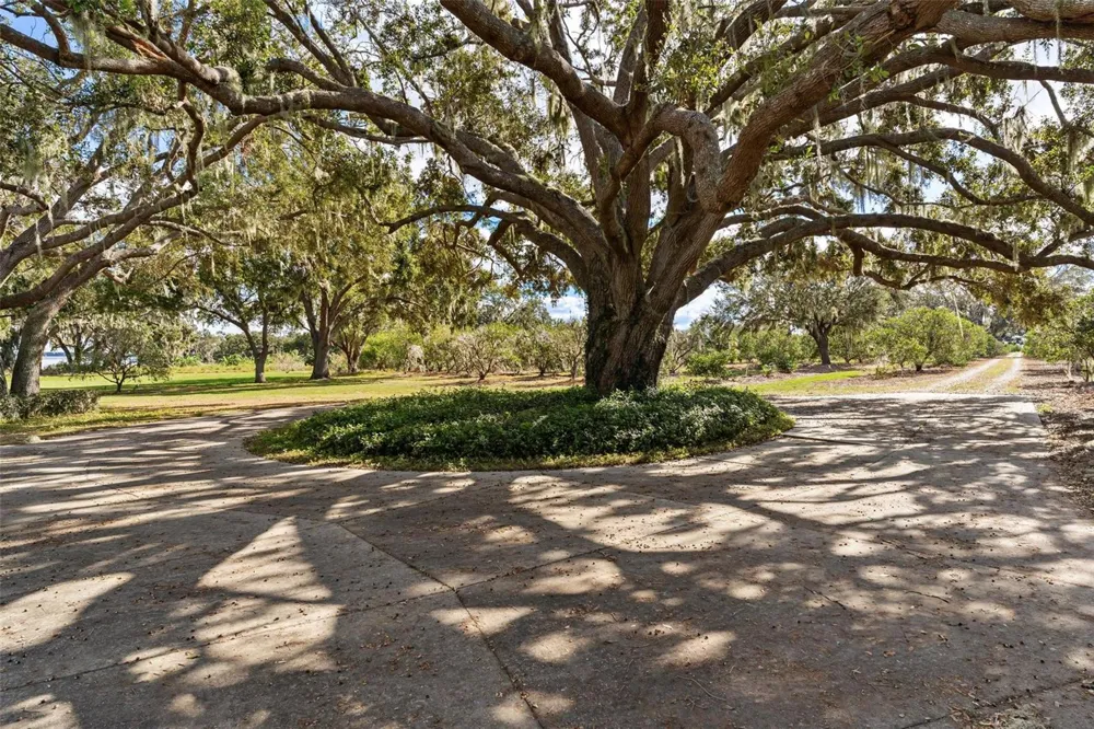 38230 YALE CIRCLE Leesburg, FL 34788
