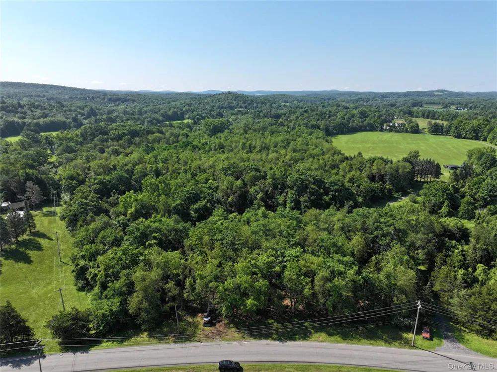 Bells Pond Road Hudson, NY 12541