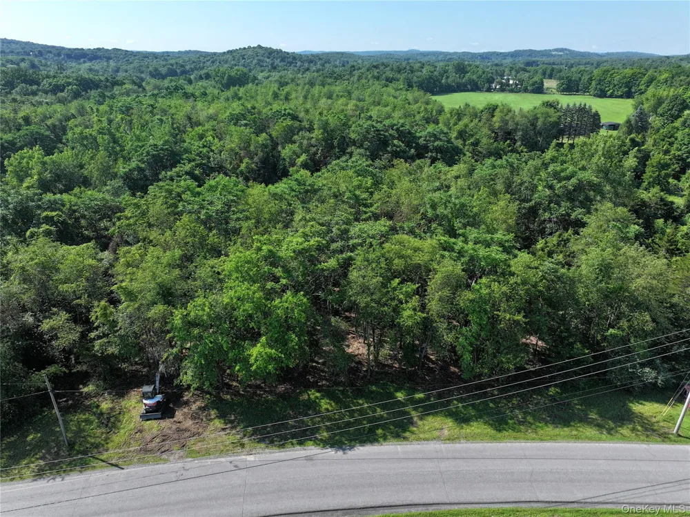 Bells Pond Road Hudson, NY 12541