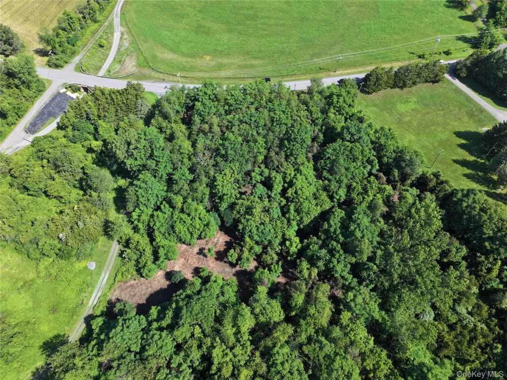 Bells Pond Road Hudson, NY 12541