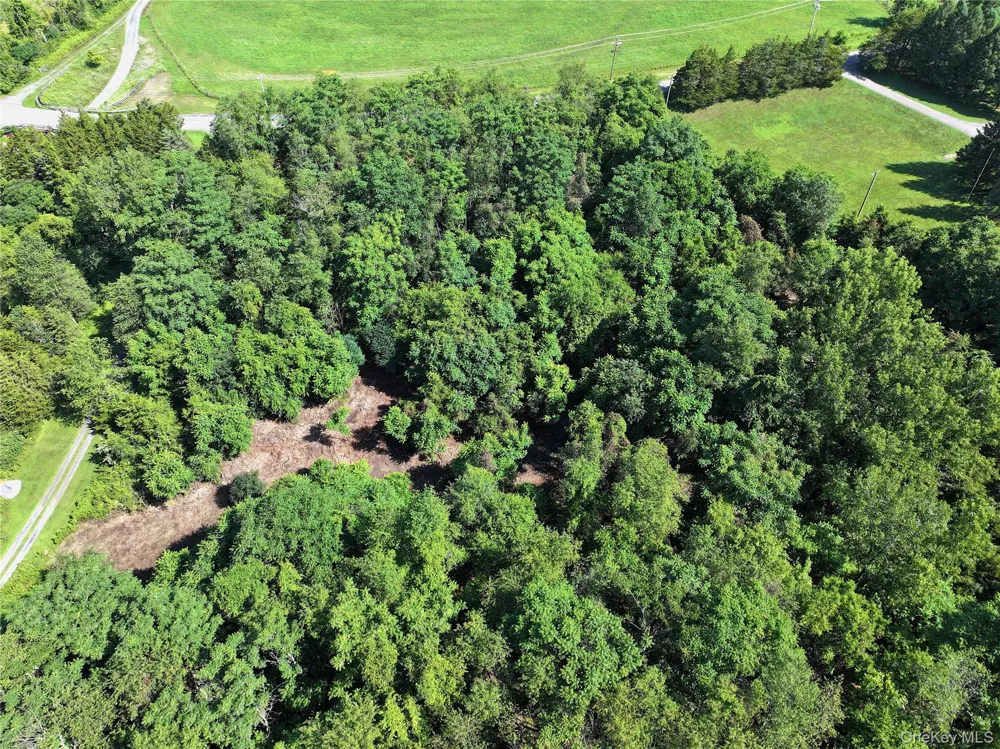 Bells Pond Road Hudson, NY 12541