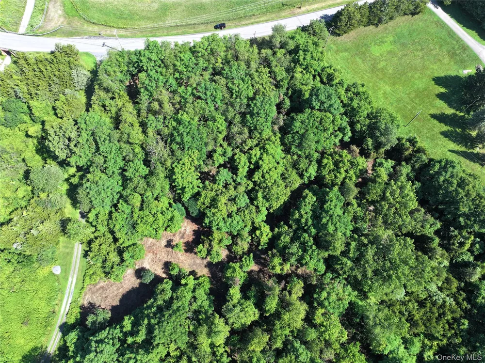 Bells Pond Road Hudson, NY 12541