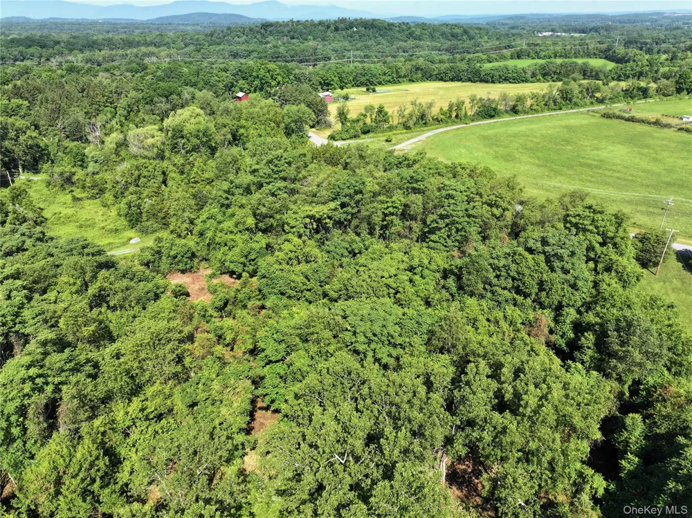 Bells Pond Road Hudson, NY 12541