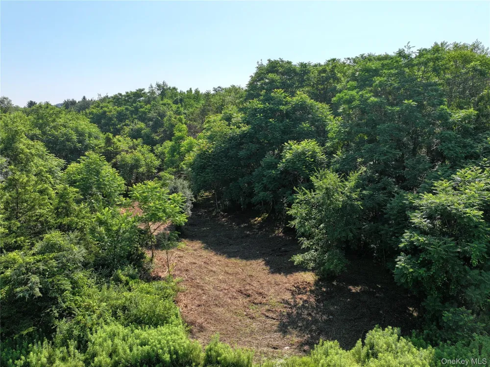 Bells Pond Road Hudson, NY 12541