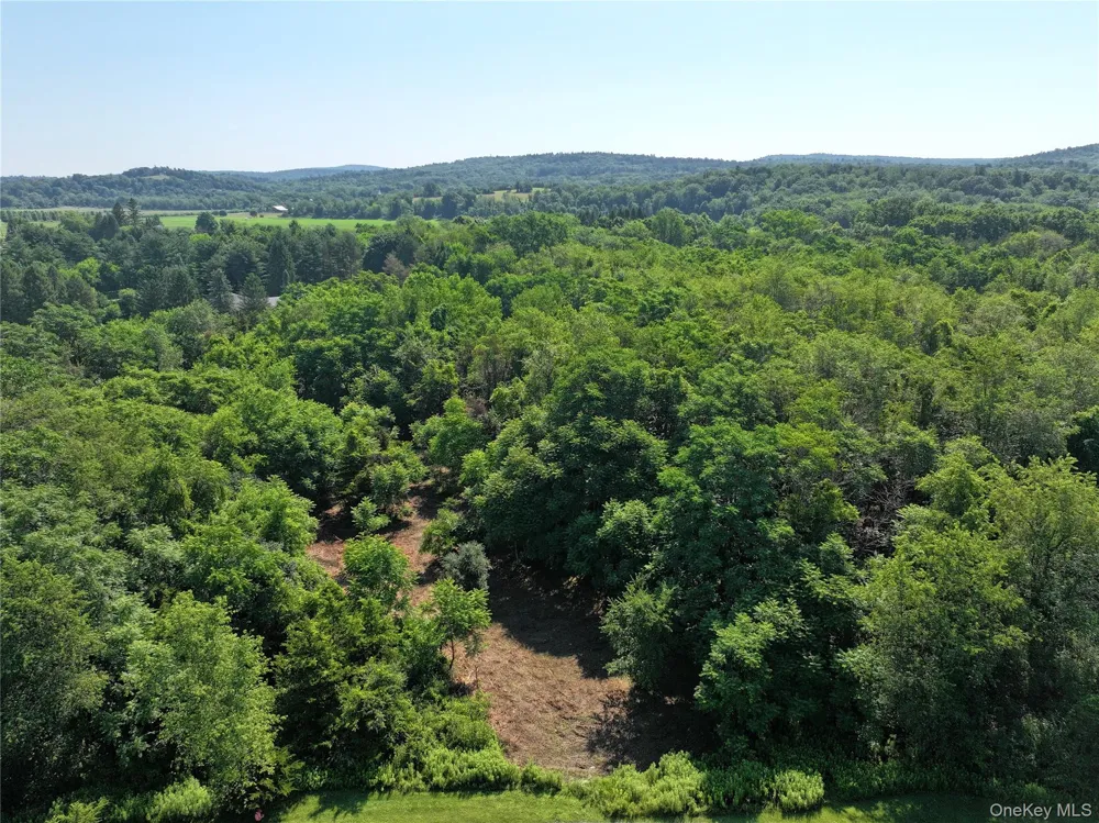 Bells Pond Road Hudson, NY 12541