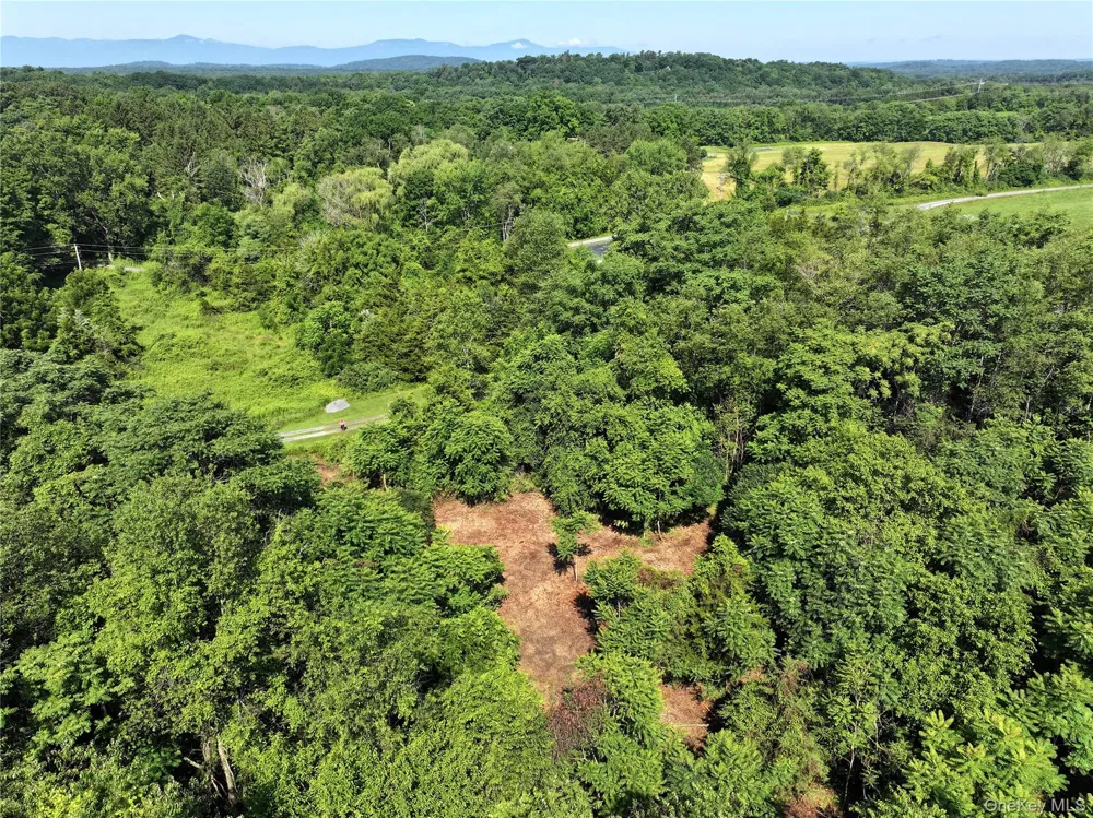 Bells Pond Road Hudson, NY 12541
