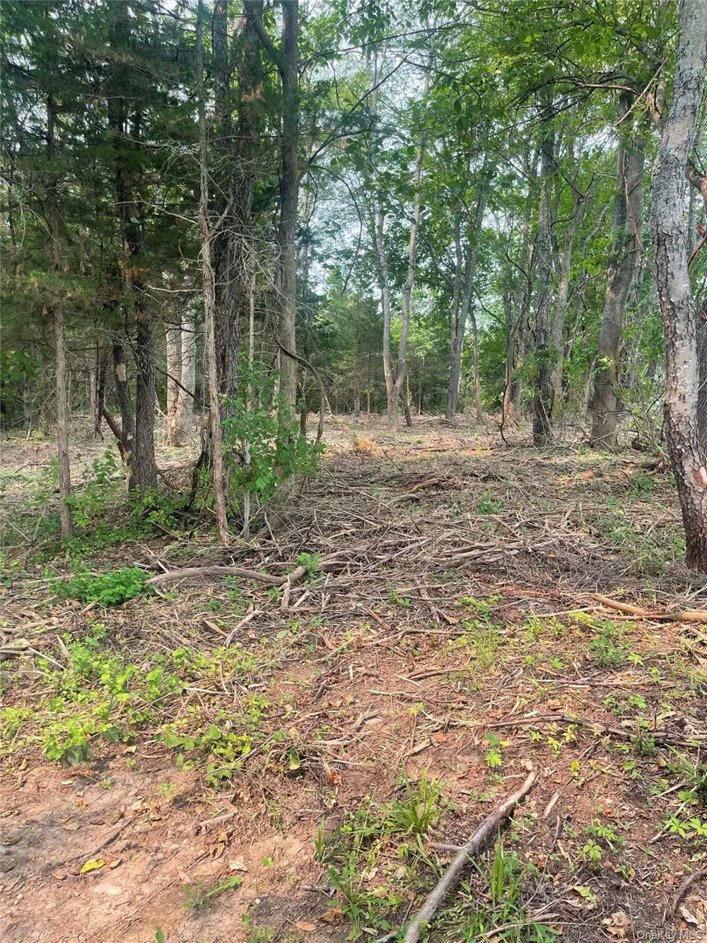 Bells Pond Road Hudson, NY 12541