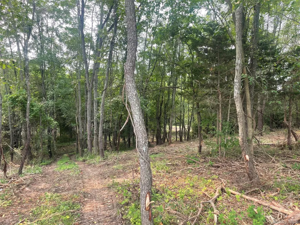 Bells Pond Road Hudson, NY 12541