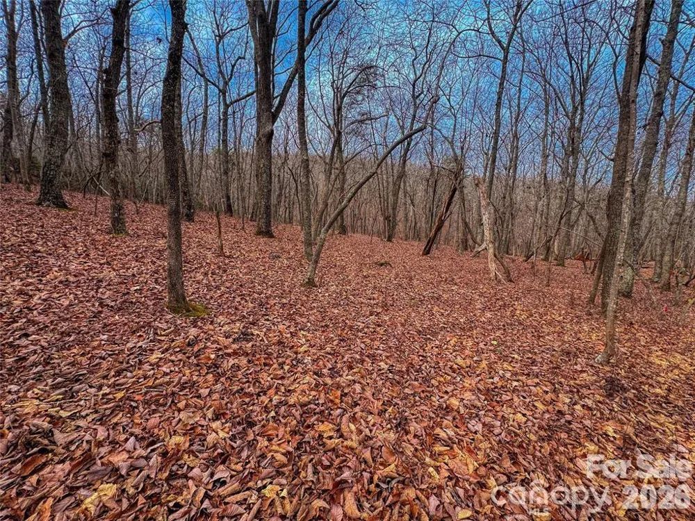 750 Palisade Trail Denton, NC 27239