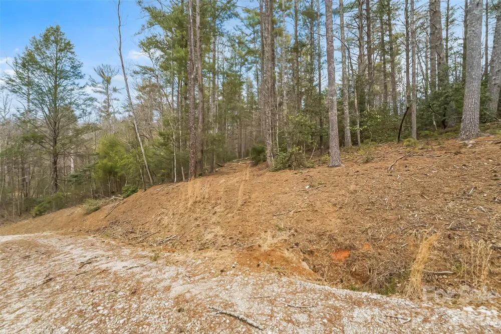 2086 October Drive #147 Nebo, NC 28761