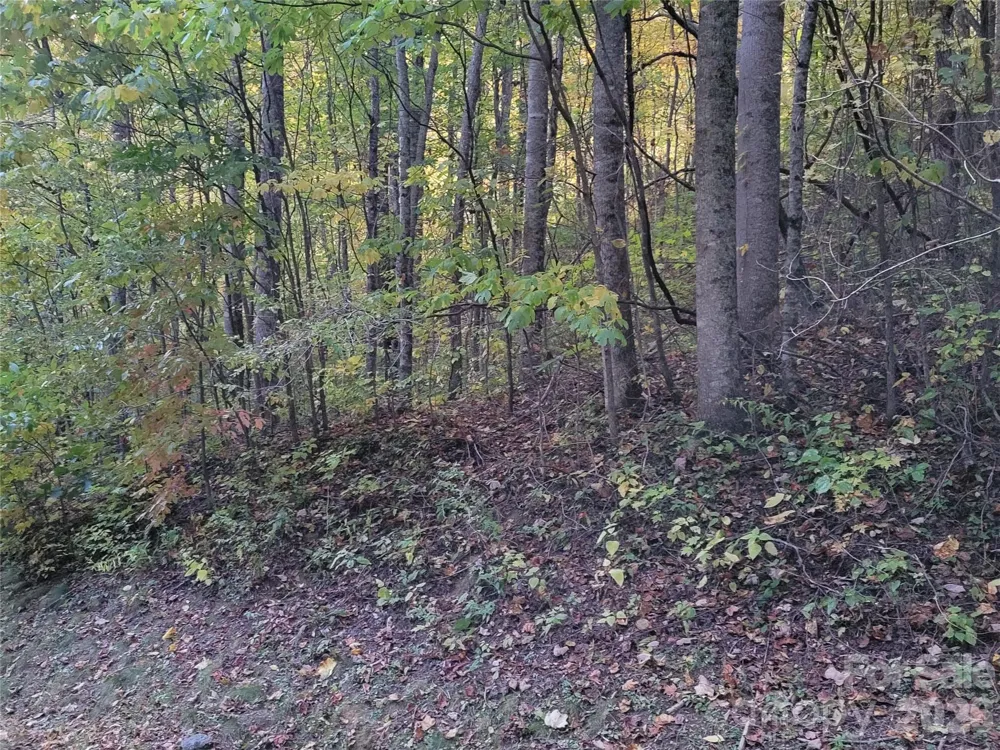 00 Covecrest Lane #15 Maggie Valley, NC 28751