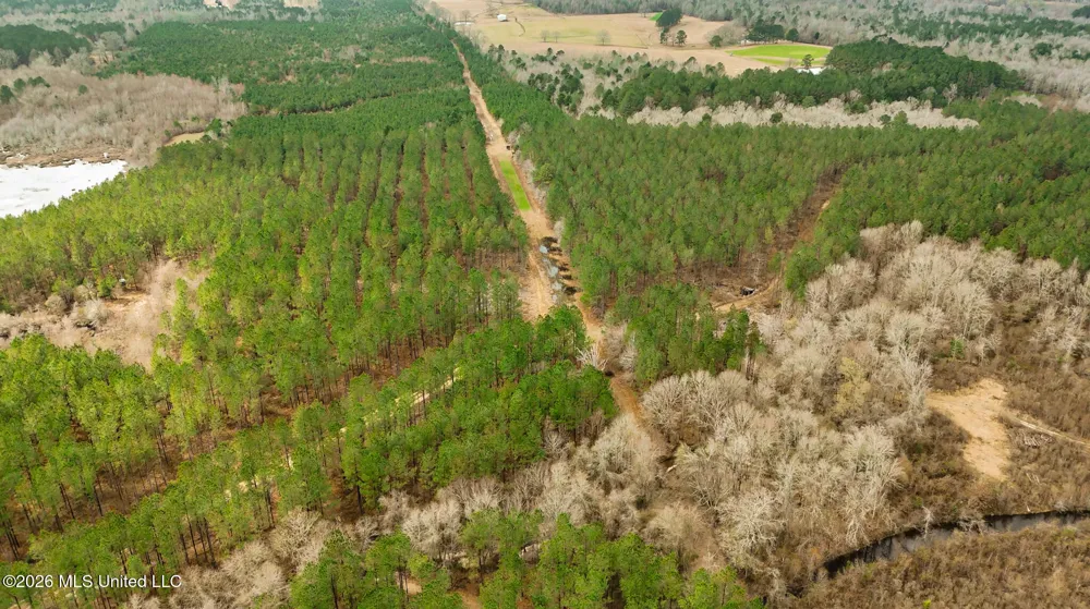 County Road 8 Laurel, MS 39443