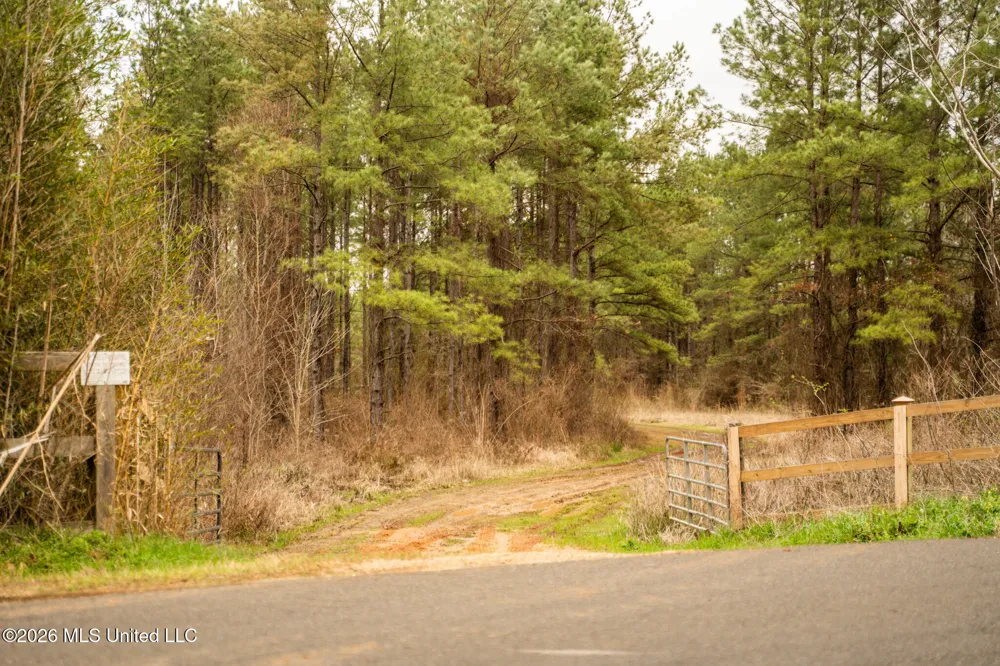 County Road 8 Laurel, MS 39443