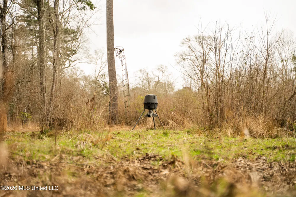 County Road 8 Laurel, MS 39443