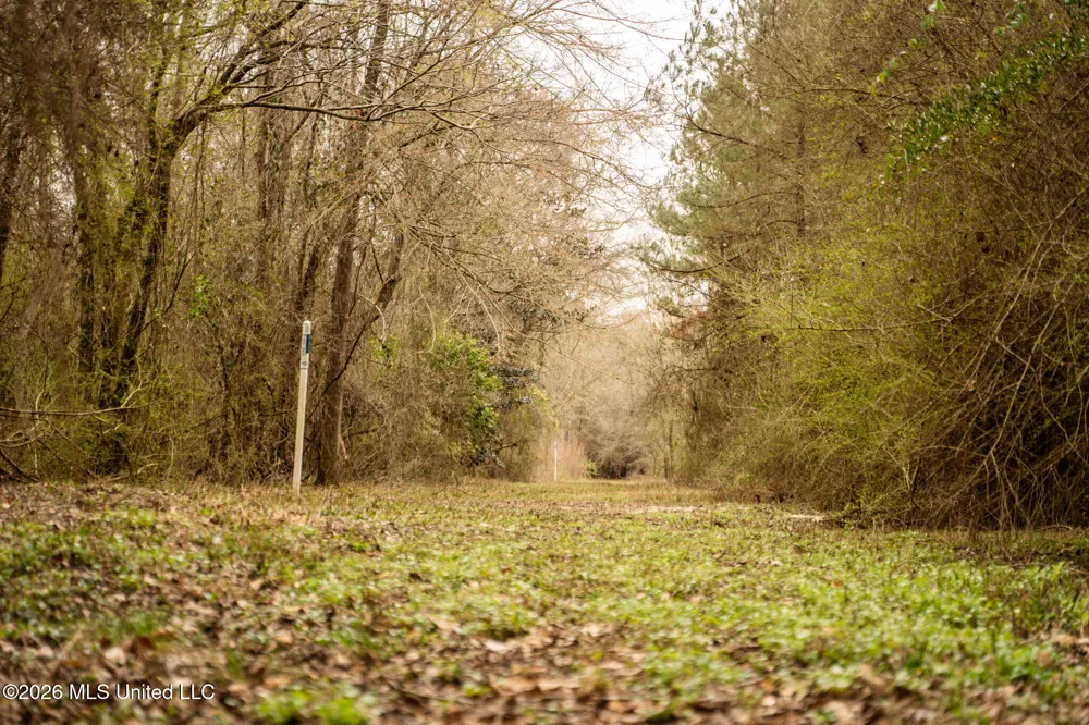 County Road 8 Laurel, MS 39443