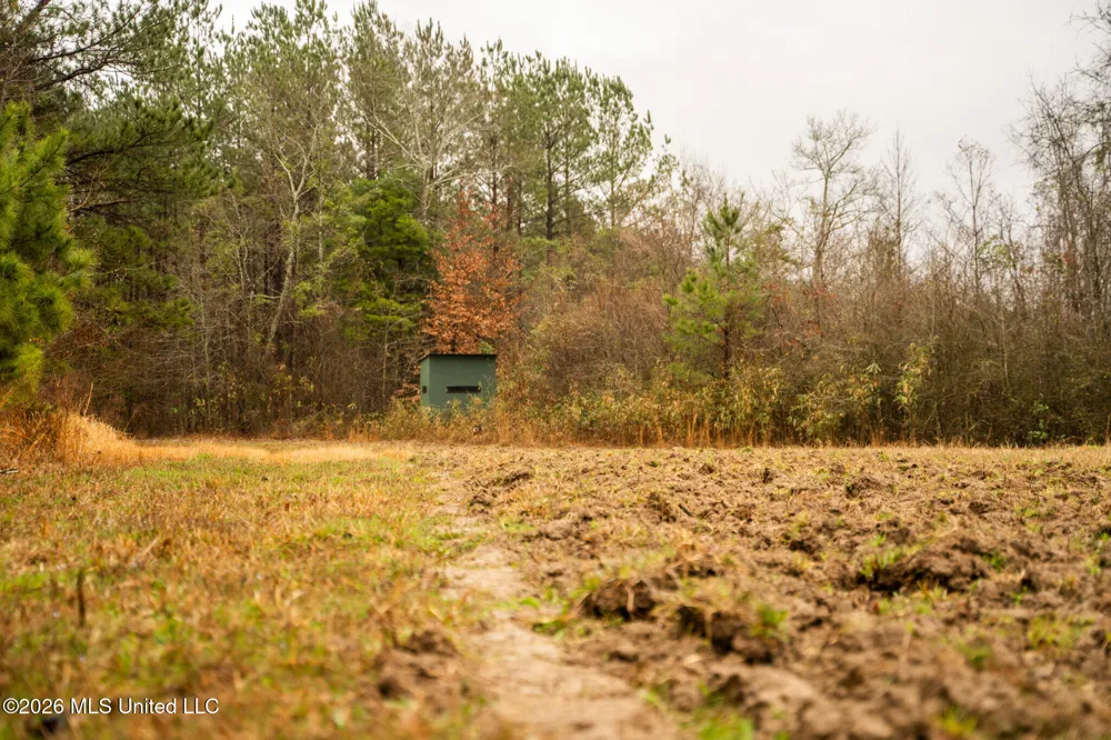 County Road 8 Laurel, MS 39443